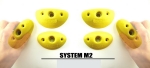  System M2 